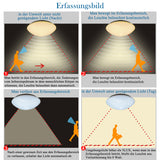 SWANEW LED Deckenlampe mit Bewegungsmelder Deckenleuchte mit Tageslichtsensor Warmweiss 12W 960 Lumen Ø24 cm