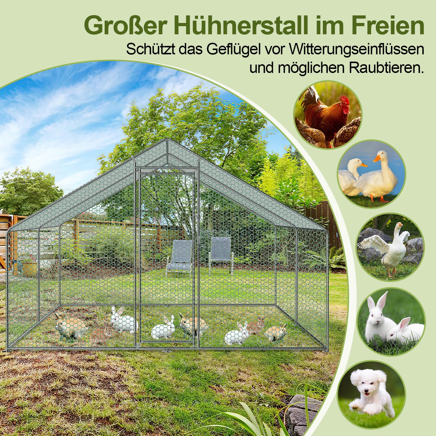 Hühnerstall Freilaufgehege, 3x3x2m, Verzinkter Stahl