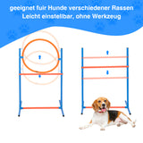 SWANEW Agility Set Hunde groß, 5-teiliges Set Hundetraining zubehör Agility Hürde, Slalom, Agility Hürde, Sprungring & Hundetunnel