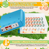 SWANEW 64 Eier Brutmaschine Vollautomatisch, Brutautomat Vollautomatisch Hühner mit Feuchtigkeitsüberwachung und Automatischer Eierrotation