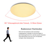 SWANEW LED Deckenlampe mit Bewegungsmelder Deckenleuchte mit Tageslichtsensor Warmweiss 12W 960 Lumen Ø24 cm