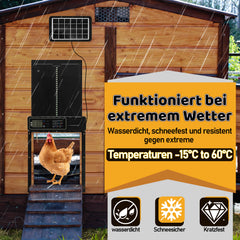SWANEW Automatische Hühnerklappe Solar Haustierklappe Hühnerstalltür 33x24.5cm