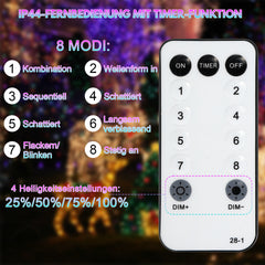 SWANEW 10 Meter LED Lichterschlauch Außen, Wasserfest LED Schlauch, mit Fernbedienung & Timer, Dimmbar & Memory-Funktion, IP65 [Energieklasse F]