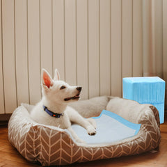 Auslaufsichere Pads für Haustiere, urinabsorbierende Pads