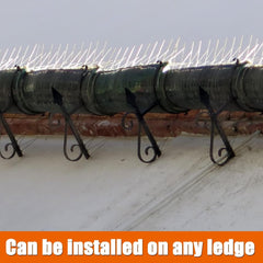 Swanew 3m Edelstahl Taubenabwehr Vogelabwehrspikes, Vogelschutz für Dächer und Balkone.