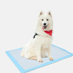 Auslaufsichere Pads für Haustiere, urinabsorbierende Pads